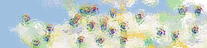Lower Mainland Art Galleries/Art Schools/Art Centers & Organizations: