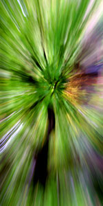 Vancouver Canada Stock Photographs