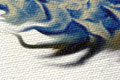 Canvas prints, painting reproduction