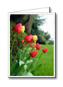 Vancouver Custom Greeting Cards