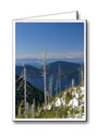 Vancouver Custom Greeting Cards