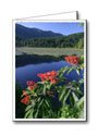 Vancouver Custom Greeting Cards
