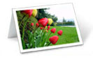 Vancouver Custom Greeting Cards